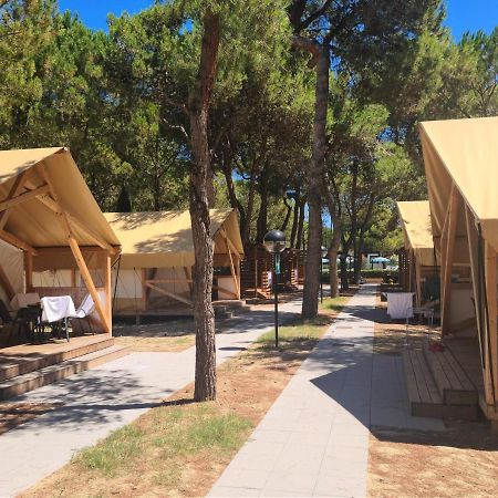 Small Camp Salinello Tortoreto Екстериор снимка