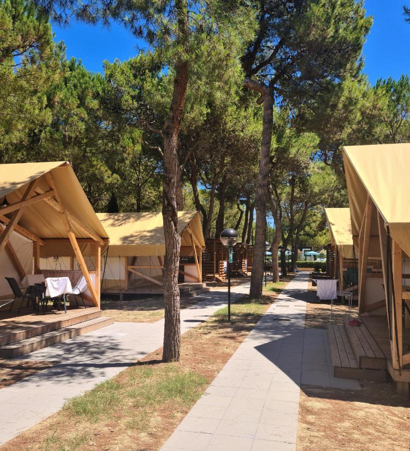 Small Camp Salinello Tortoreto Екстериор снимка